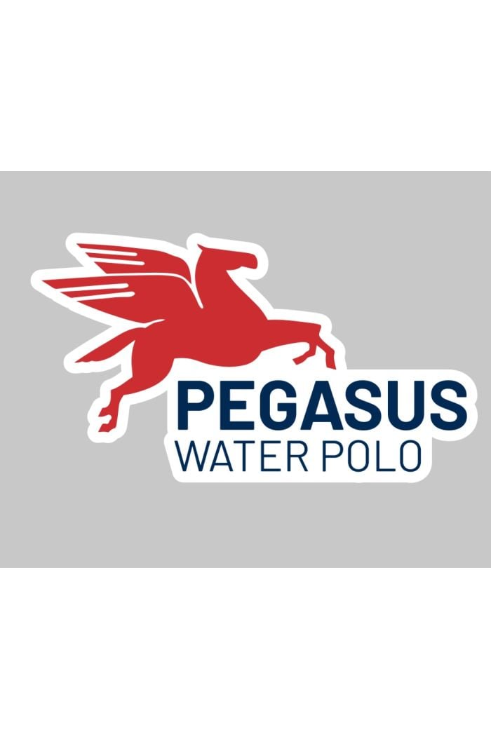 Pegasus WP Car Window Sticker