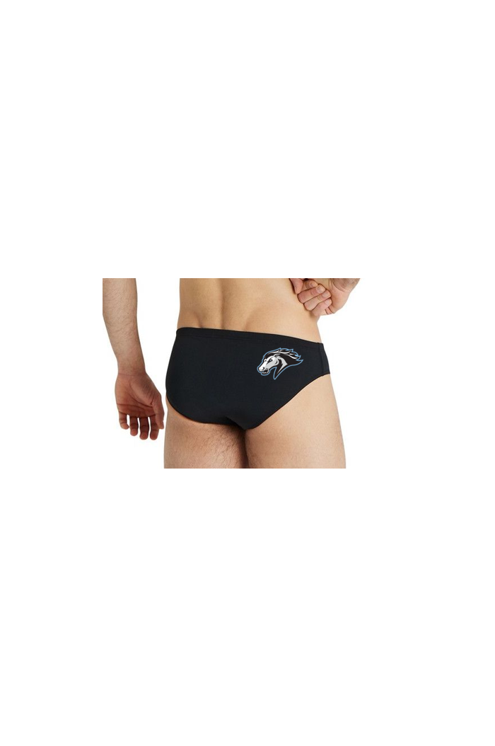 Arena Maxlife Brief