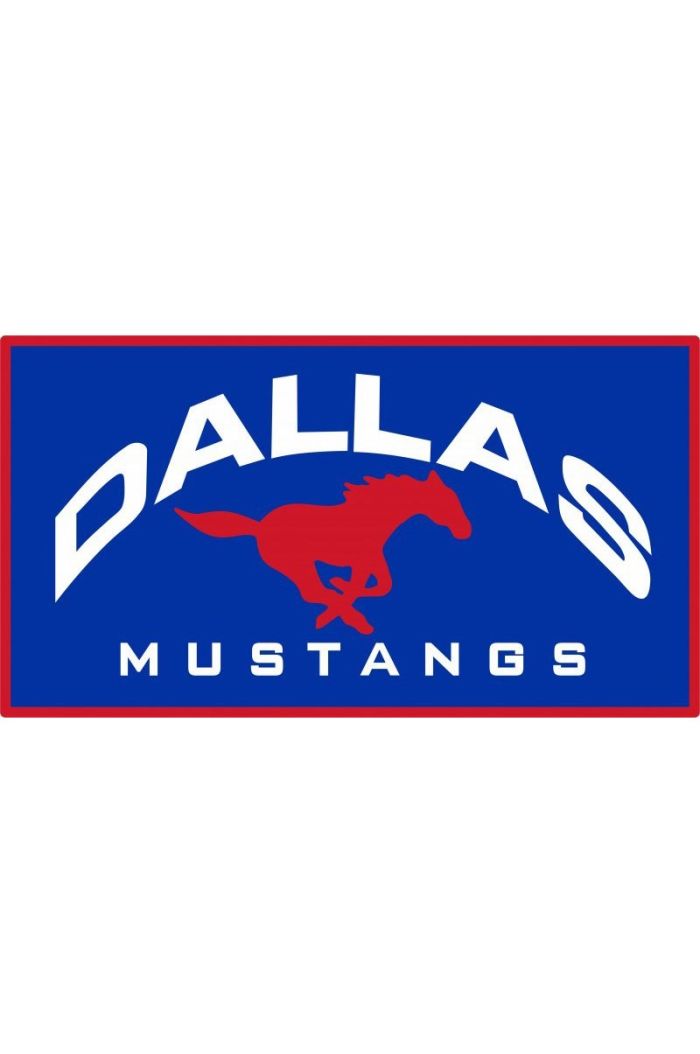 Dallas Mustangs Towel