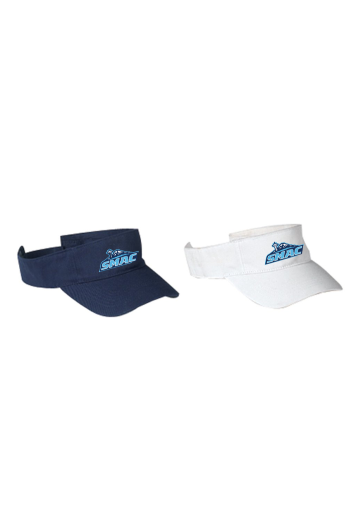 Team Visor